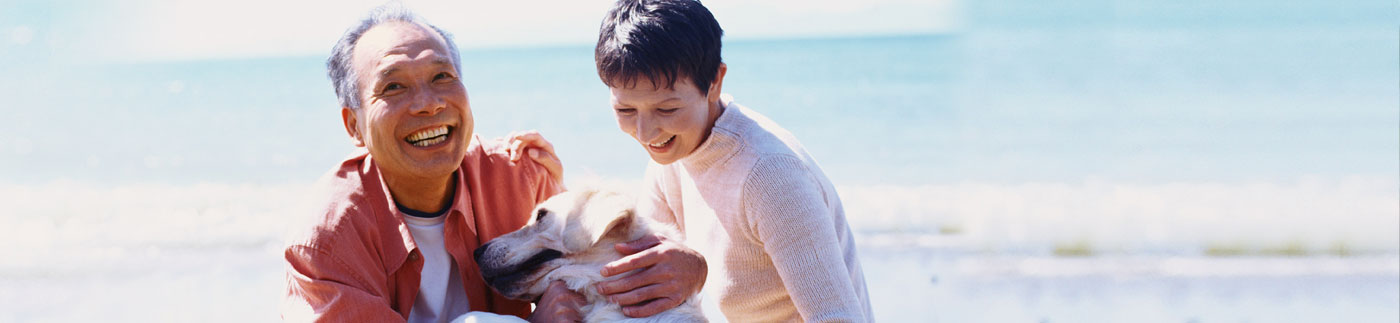 大圖簡介2行1<br />大圖簡介2行2